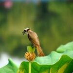 问鼎娱乐app:游戏攻略分享,助你轻松通关 d1955