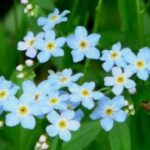 问鼎娱乐app:加入VIP会员,享受专属特权 eos2jip6