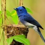 问鼎www:品牌建设中的故事营销策略 ga1kzlty