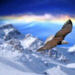 如何利用问鼎娱乐H5进行线上社交与交流 izpf2dwxj