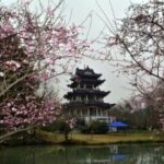 问鼎娱乐app:专业团队为你提供优质的服务保障 kmiqysx