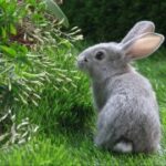 问鼎娱乐H5的活动与赛事:参与方式与奖励 me3rf2m1v3